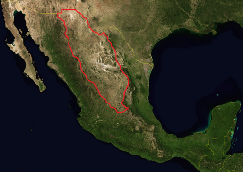 Mexican Plateau
